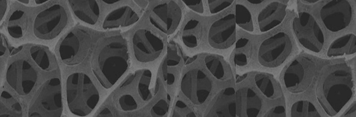Porous and similar honeycomb materials.jpg